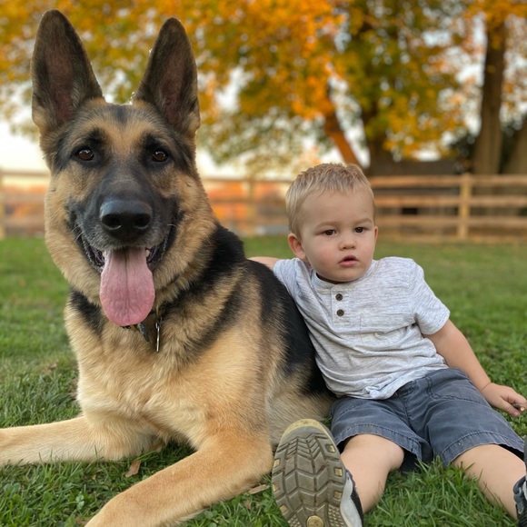 Meet your Posher, Lauren - Picture 1 of 1